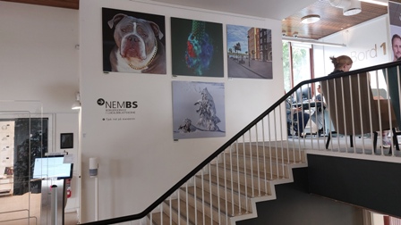 VibyBibliotek-3.jpg